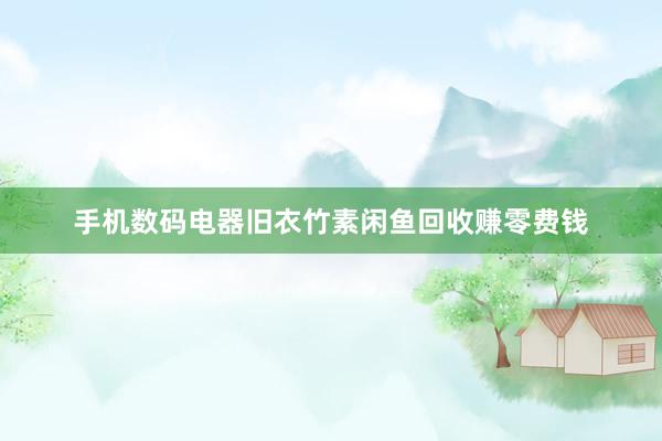 手机数码电器旧衣竹素闲鱼回收赚零费钱